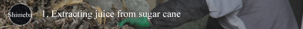Shimeba 1. Extracting juice from sugar cane