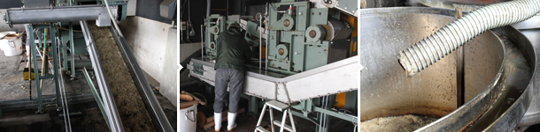 砂糖黍を機械で絞っている所