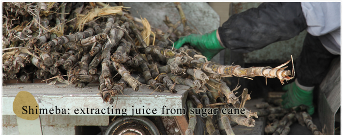 Shimeba: extracting juice from sugar cane | The process of making wasanbon toh